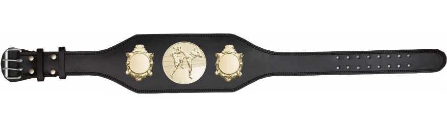 THAI BOXING CHAMPIONSHIP BELT-BUD003/G/TBOG-4 COLOURS